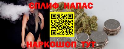 шишки Будённовск