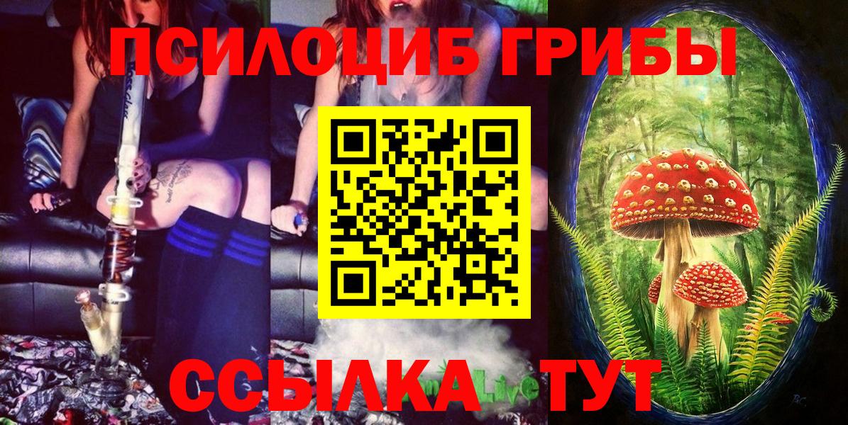 Галлюциногенные грибы MAGIC MUSHROOMS  Псилоцибиновые грибы Psilocybine cubensis  Вход с VPN  Нарткала 